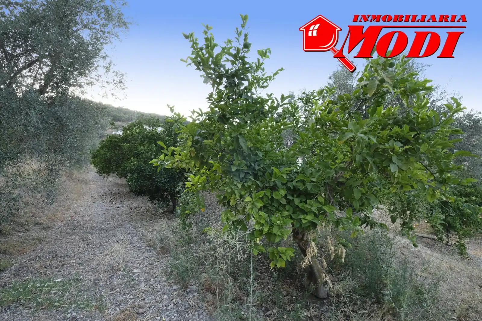 Casa rústica amb jardí en venda a Villamena, imagen 33
