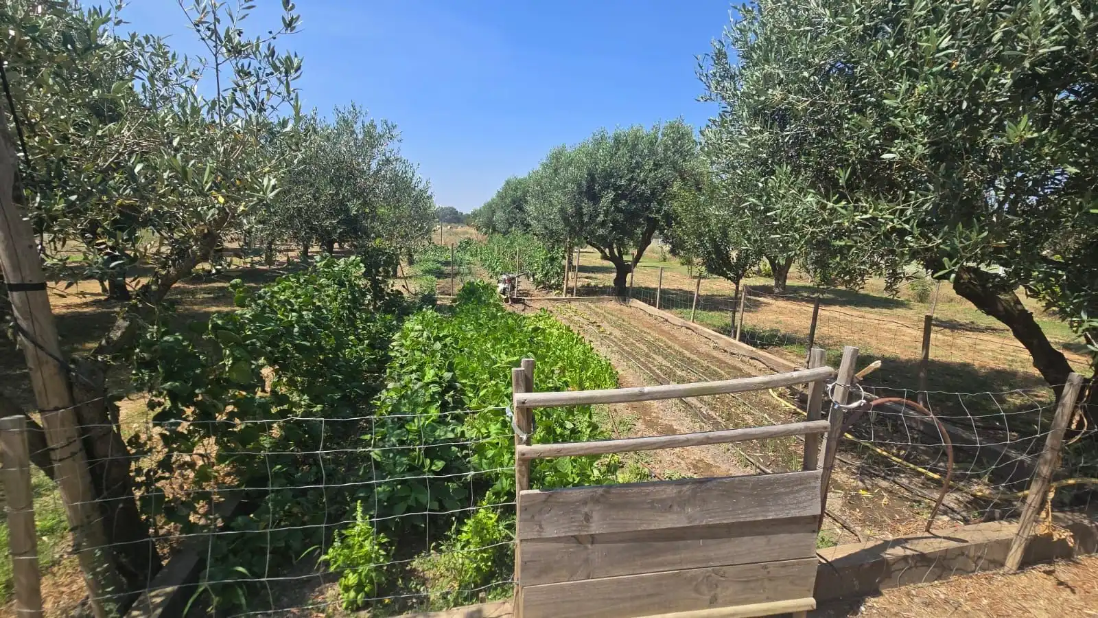 Casa con piscina en venta en Muga - Gran Reserva - Badia, imagen 23