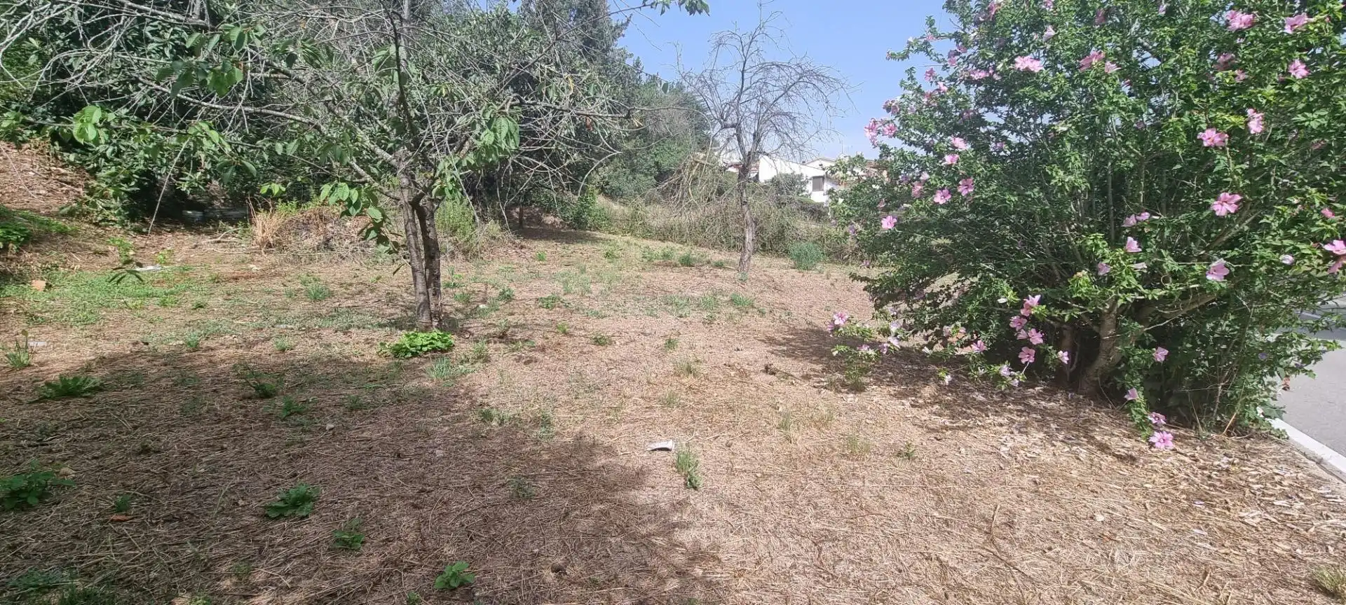 Lands and plots for sale in Caldes de Montbui, imagen 5