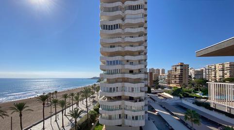 Foto 5 de Piso de alquiler en Avenida Niza, Playa de San Juan, Alicante / Alacant