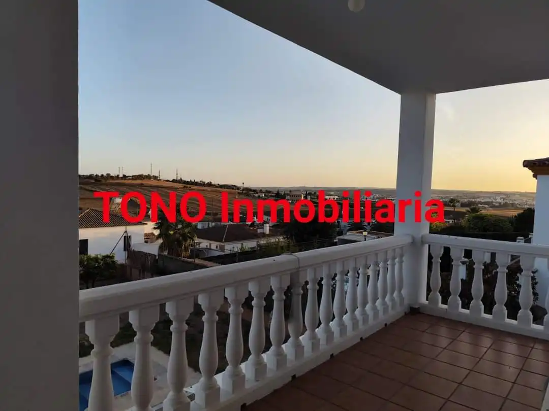 Vista exterior de Casa o xalet en venda en Écija amb Jardí privat, Terrassa i Piscina