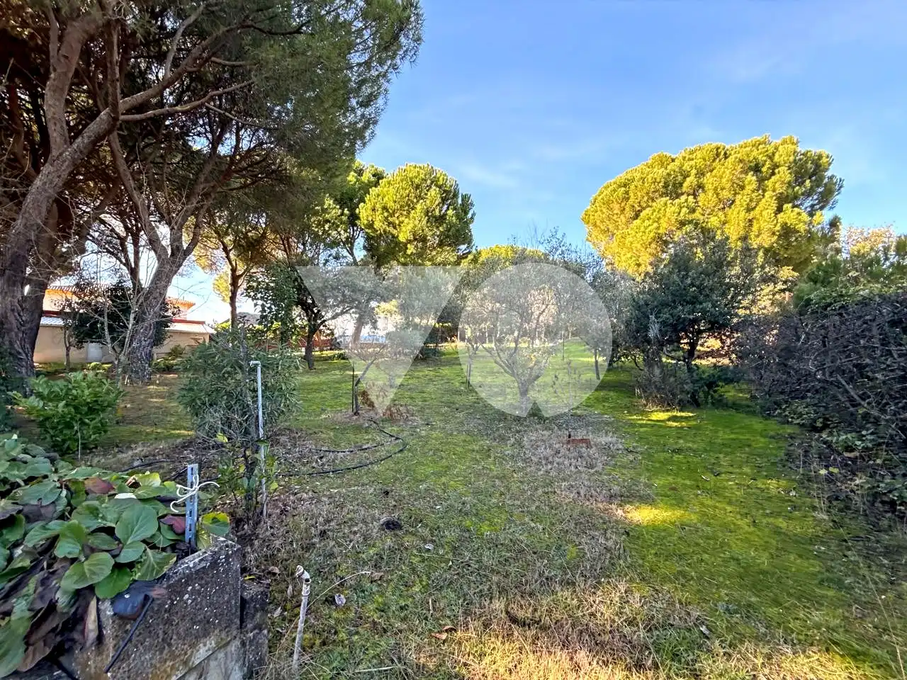 Casa o chalet en venta en Ribatejada con Jardín privado, Terraza y Piscina