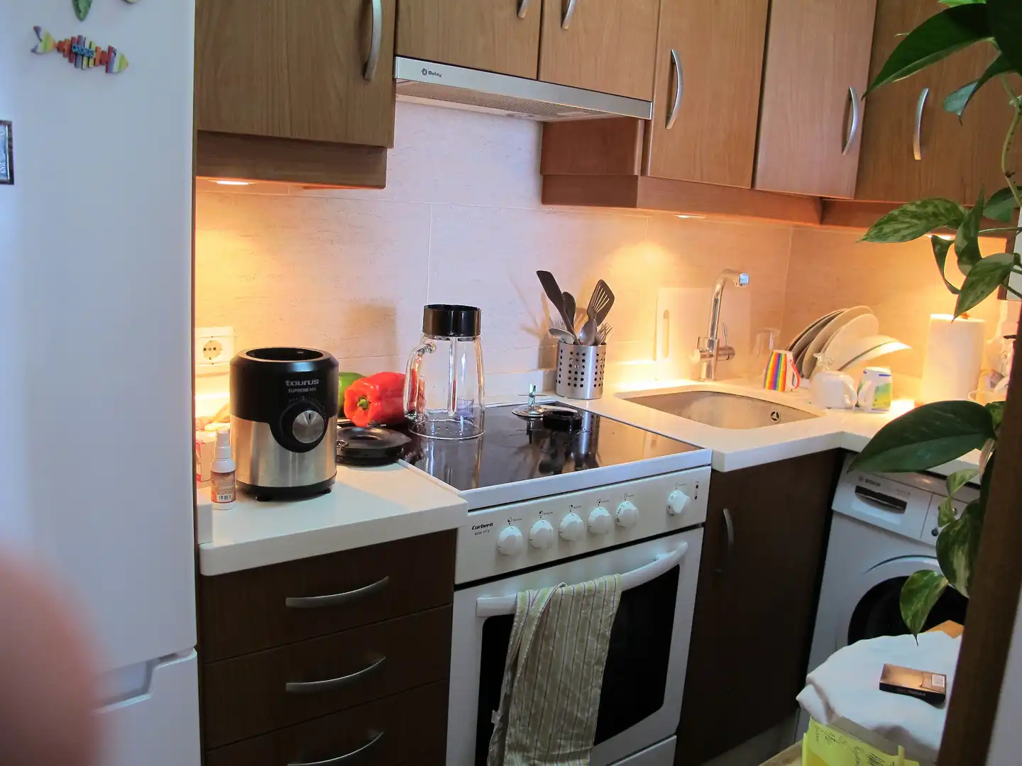 Cocina de Apartamento en venta en Nerja con Aire acondicionado, Terraza y Amueblado