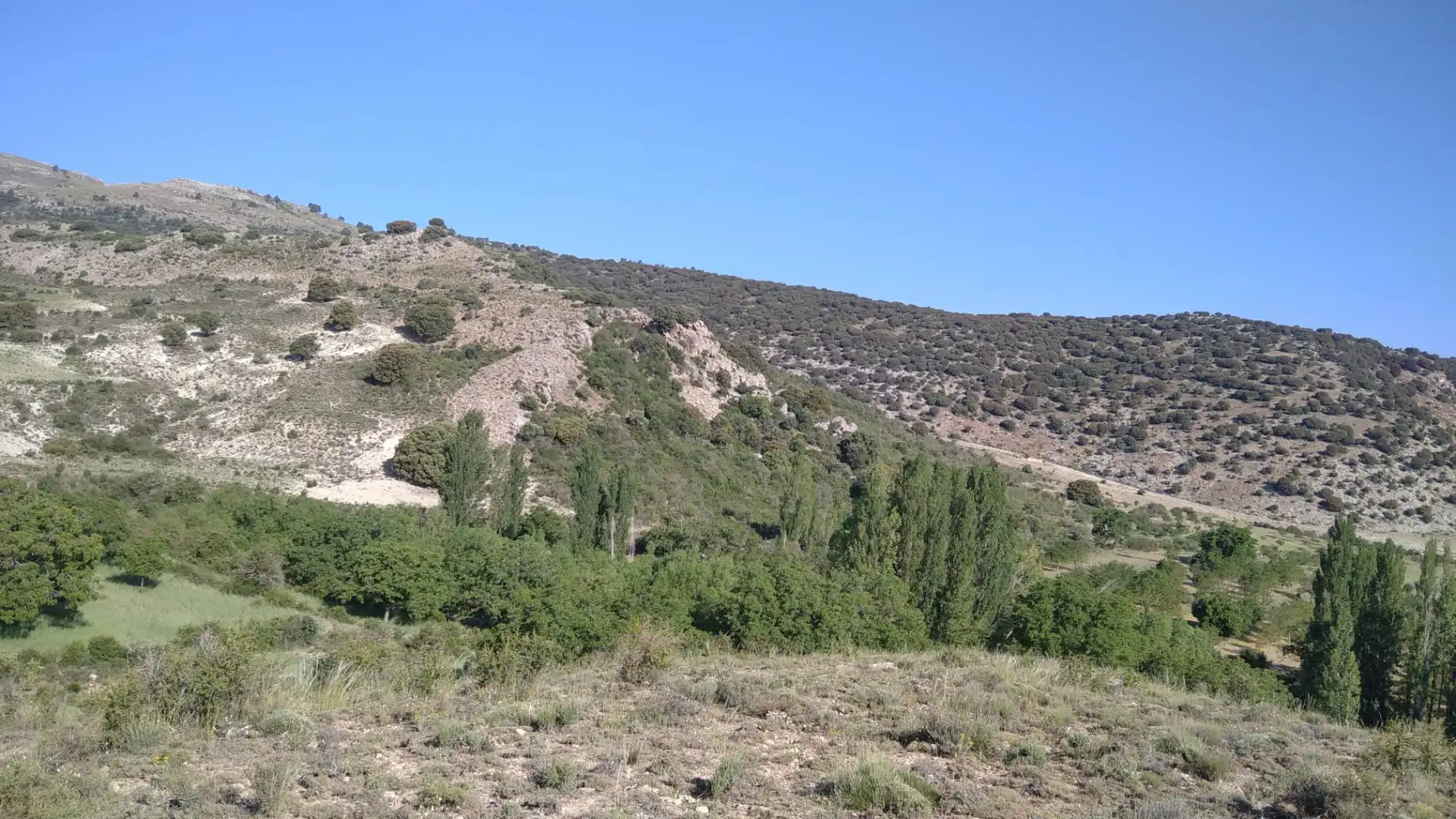 Terreny en venda en Nerpio