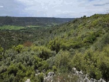 Terreno rustico in vendita a Valdeavellano