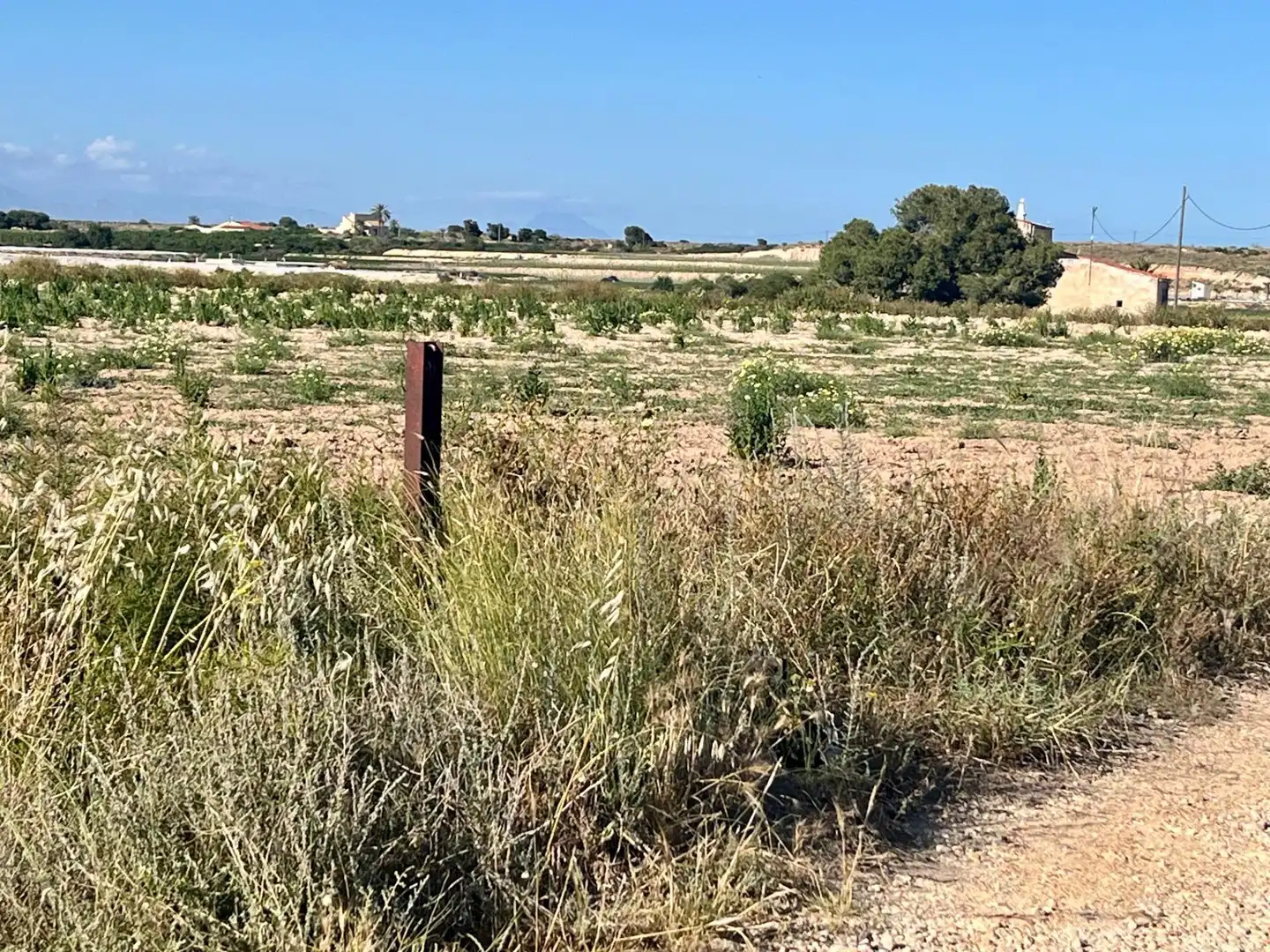 Casa o chalet en venta en Elche / Elx con Jardín privado y Trastero