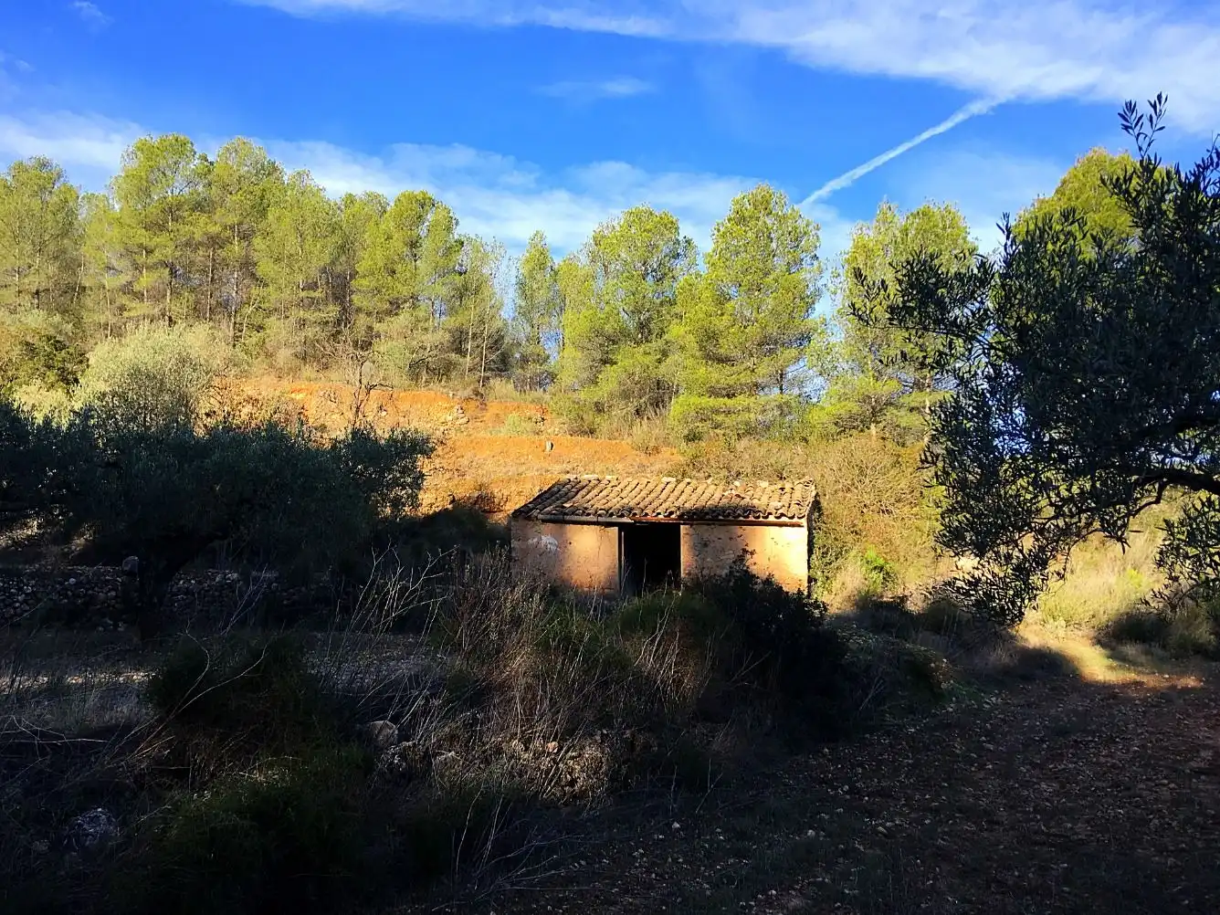 Maison à vendre à El Pinell de Brai, imagen 7