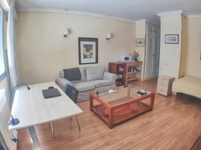 Living room of Flat to rent in  Madrid Capital  with Air Conditioner, Heating and Furnished