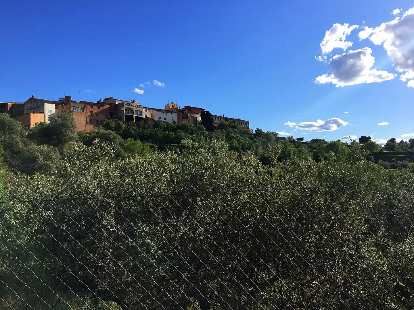 Exterior view of Houses for sale in Els Guiamets