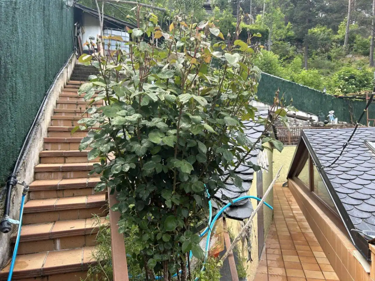 Casa con jardín en venta en Calle carretera Auvinya, imagen 33