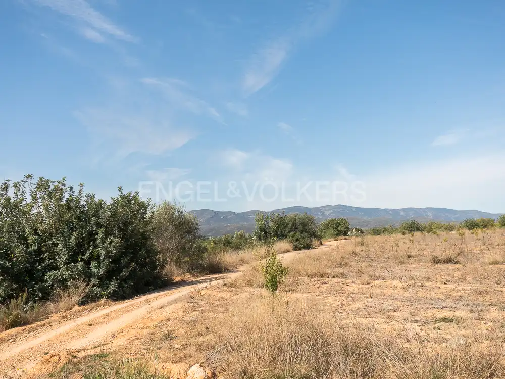 Terrenos y solares en venta en Pedralba, imagen 15
