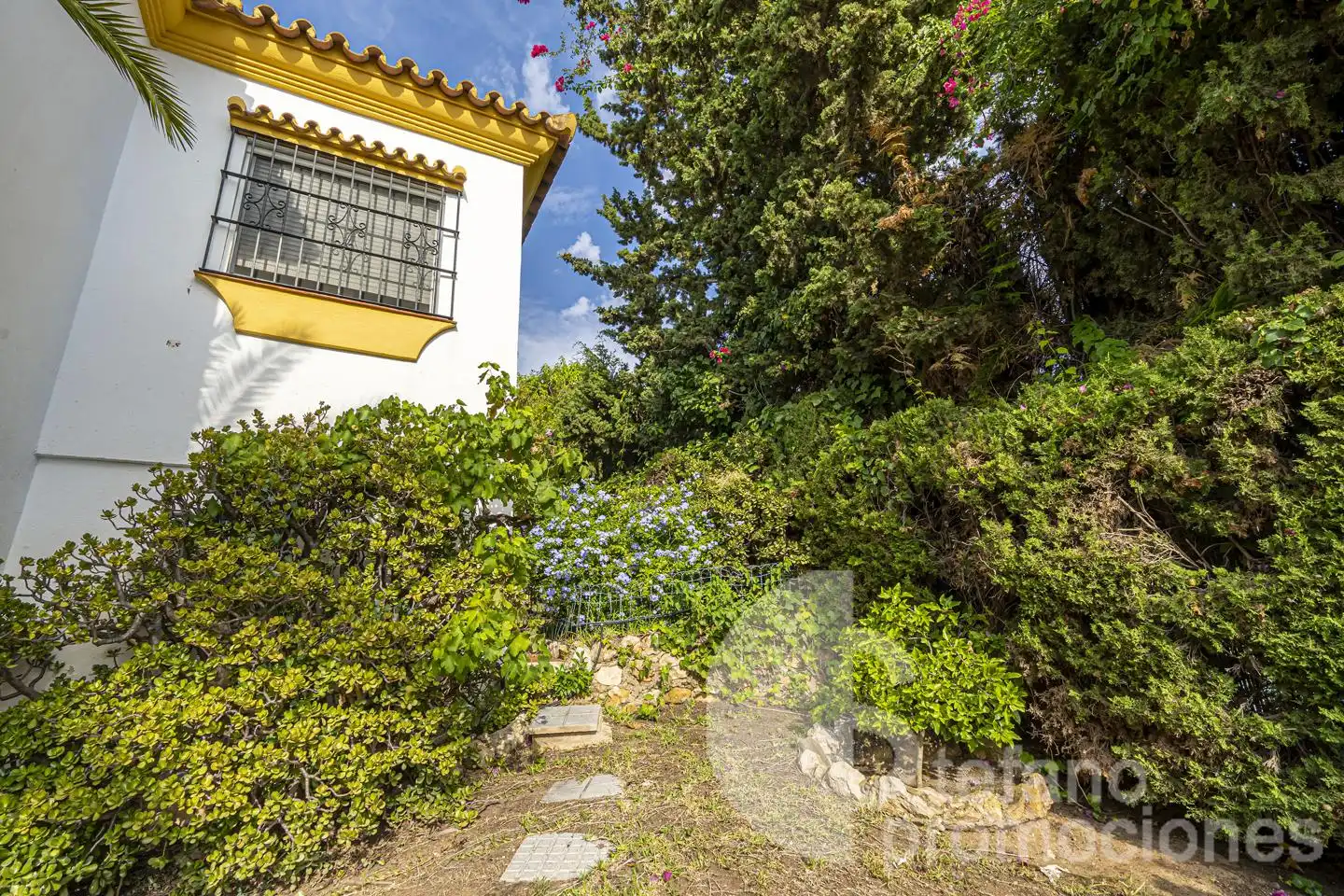 House with terrace for sale in Este, imagen 36