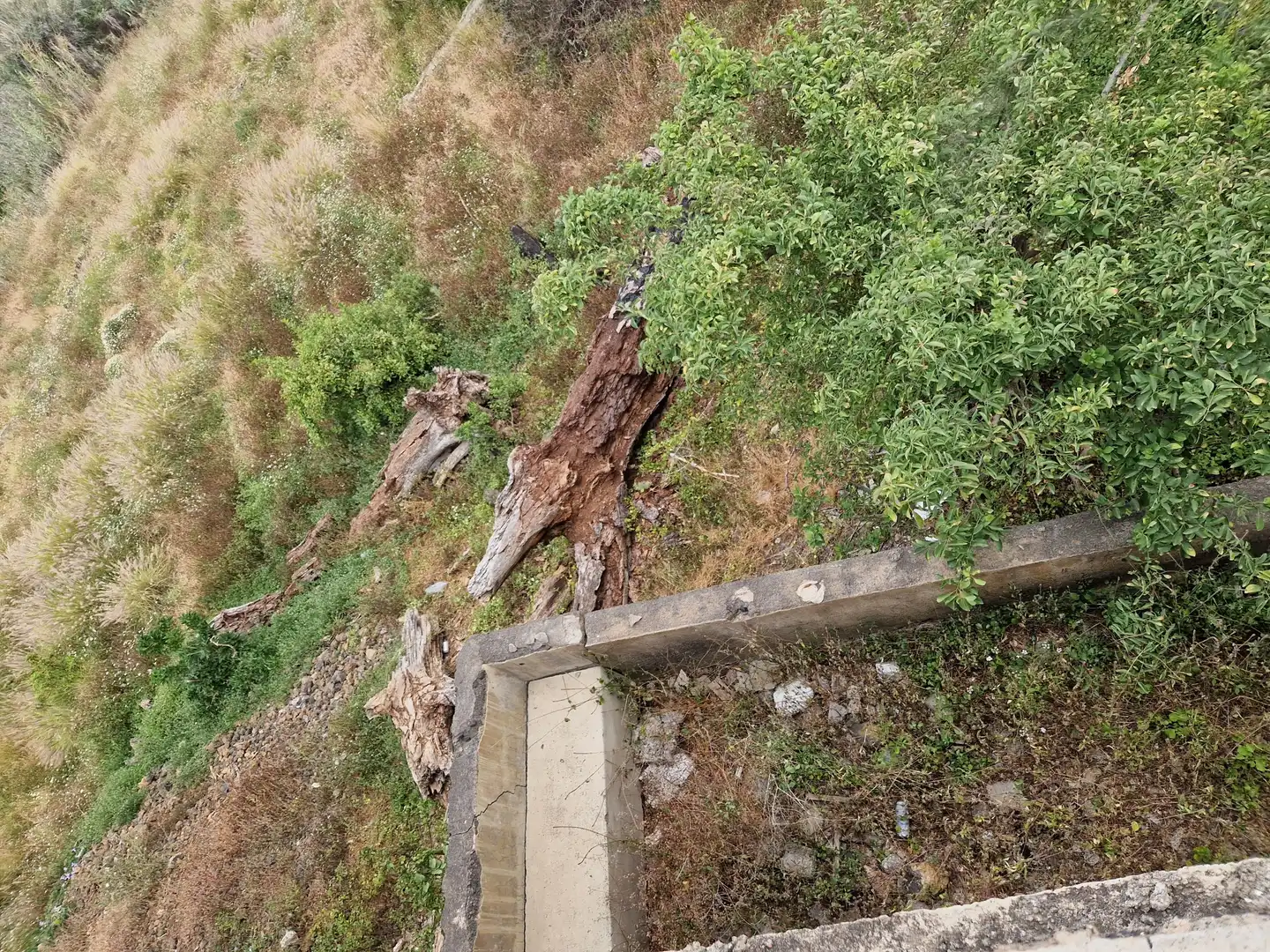 Jardín de Terreno en venta en Puerto de la Cruz