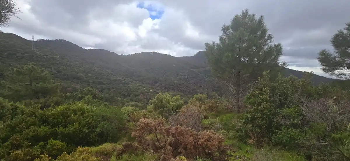 Terrenys i solars en venda a Benahavís pueblo, imagen 13