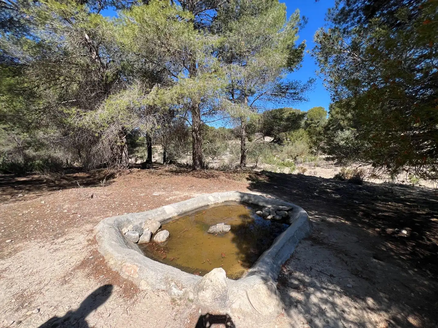 Swimming pool of Country homes for sale in Castalla