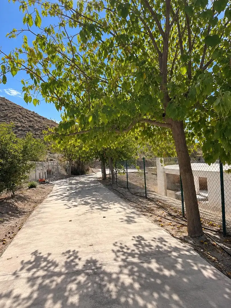 Xalet amb jardí en venda a Blanca, imagen 25
