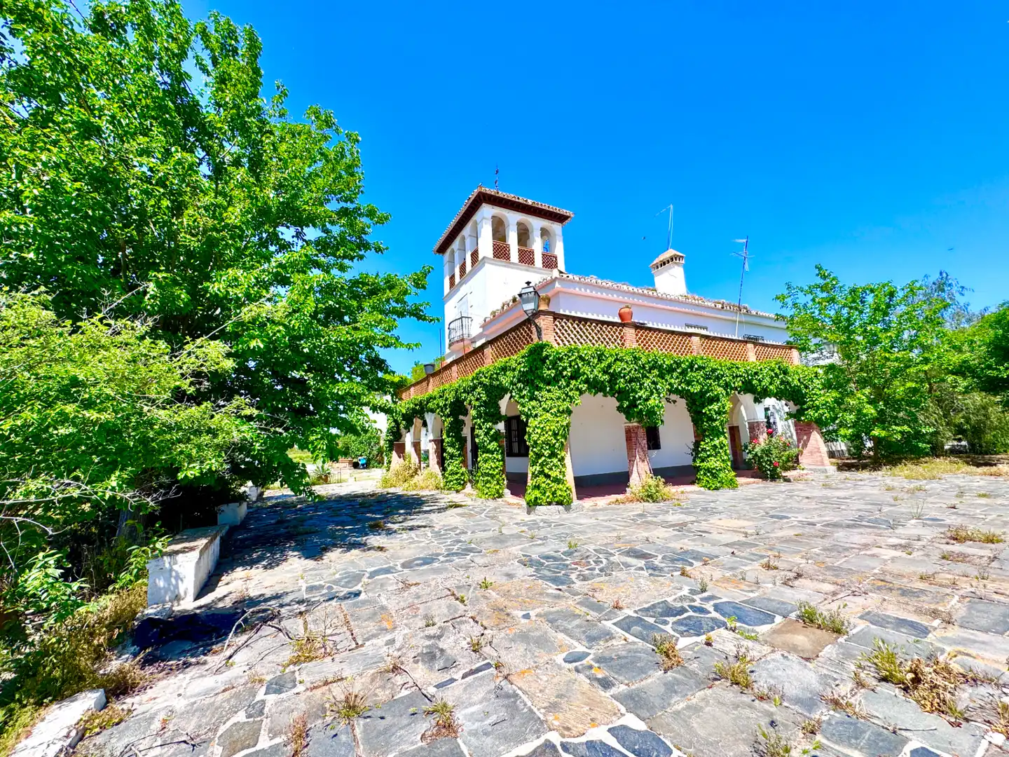 Vista exterior de Casa o chalet en venta en Granada con Jardín privado, Terraza y Trastero