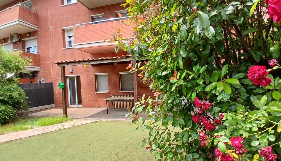 Foto 1 de Planta baixa en venda a Sant Antoni de Vilamajor, Barcelona