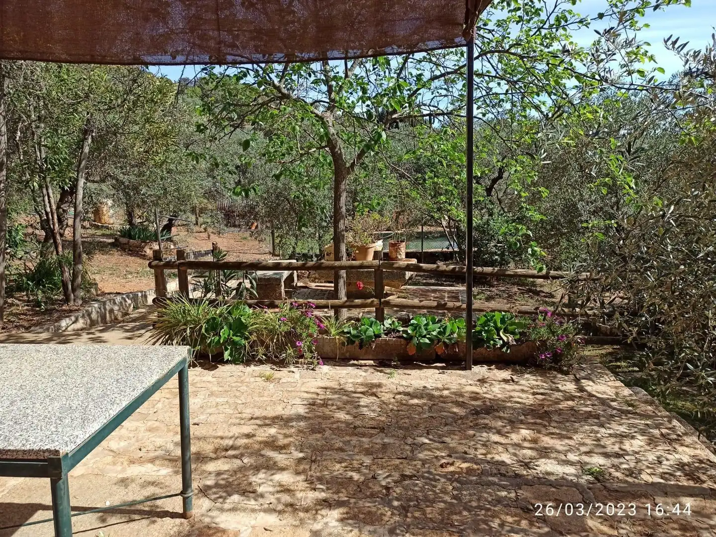 Casa rústica en venda a El Pedroso, imagen 3
