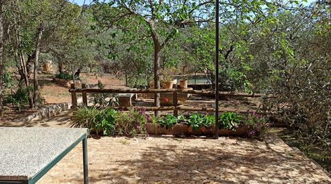 Foto 3 de Finca rústica en venta en El Pedroso, Sevilla