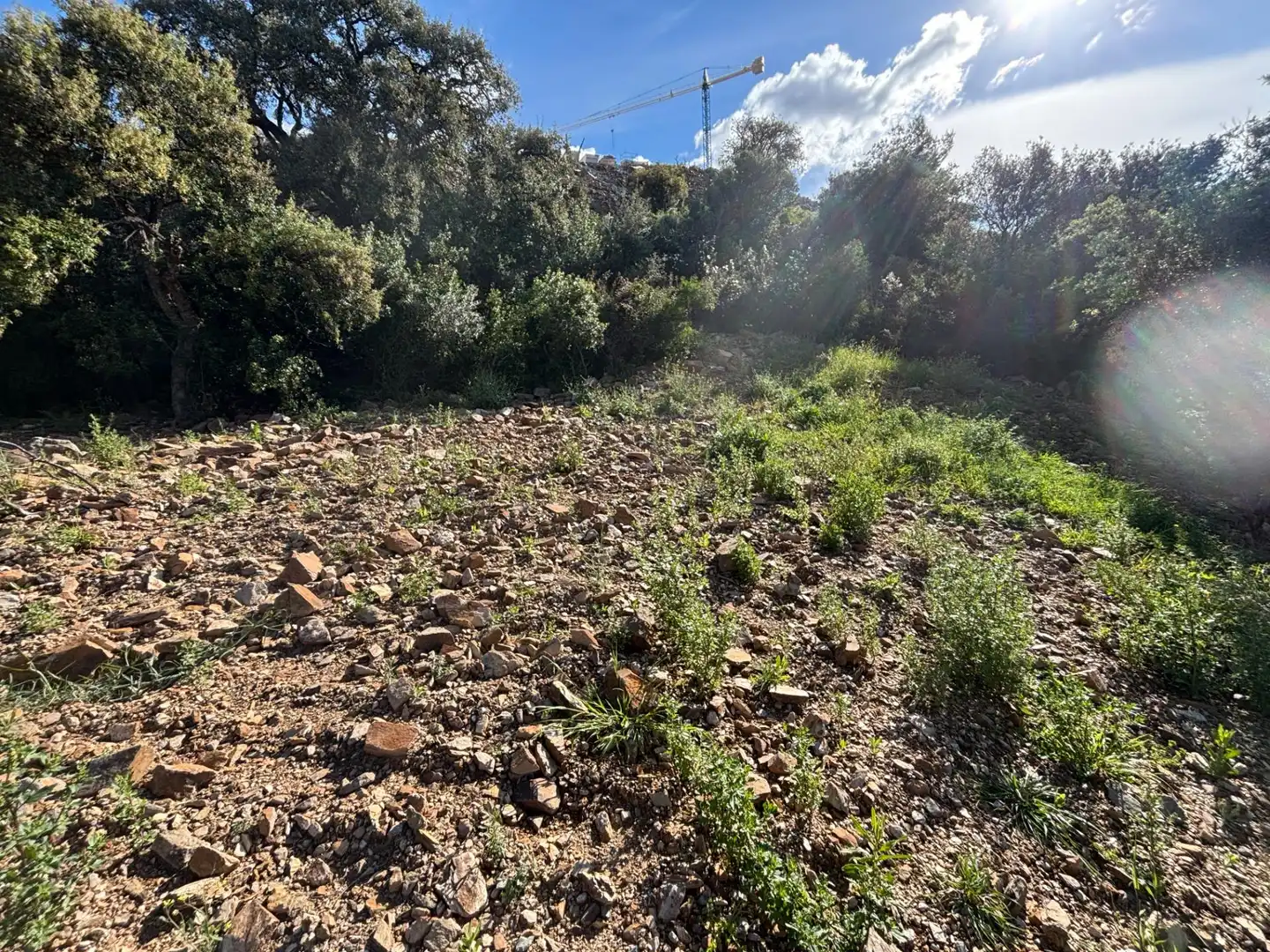 Terreno residenziale in vendita a Río Real - Los Monteros, imagen 12