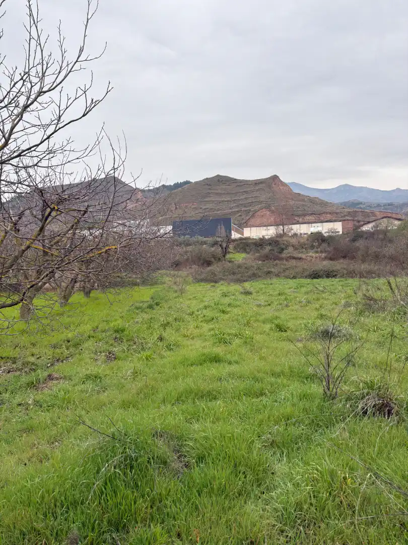 Terreno rústico en venta en Albelda de Iregua, imagen 8