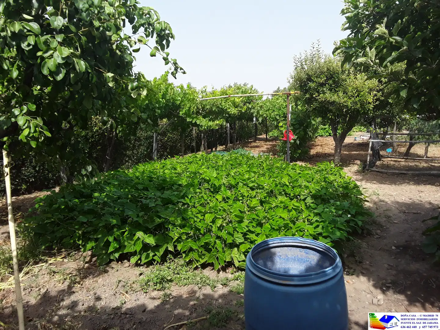Jardín de Casa o chalet en venta en Fuente El Saz de Jarama con Aire acondicionado, Calefacción y Jardín privado