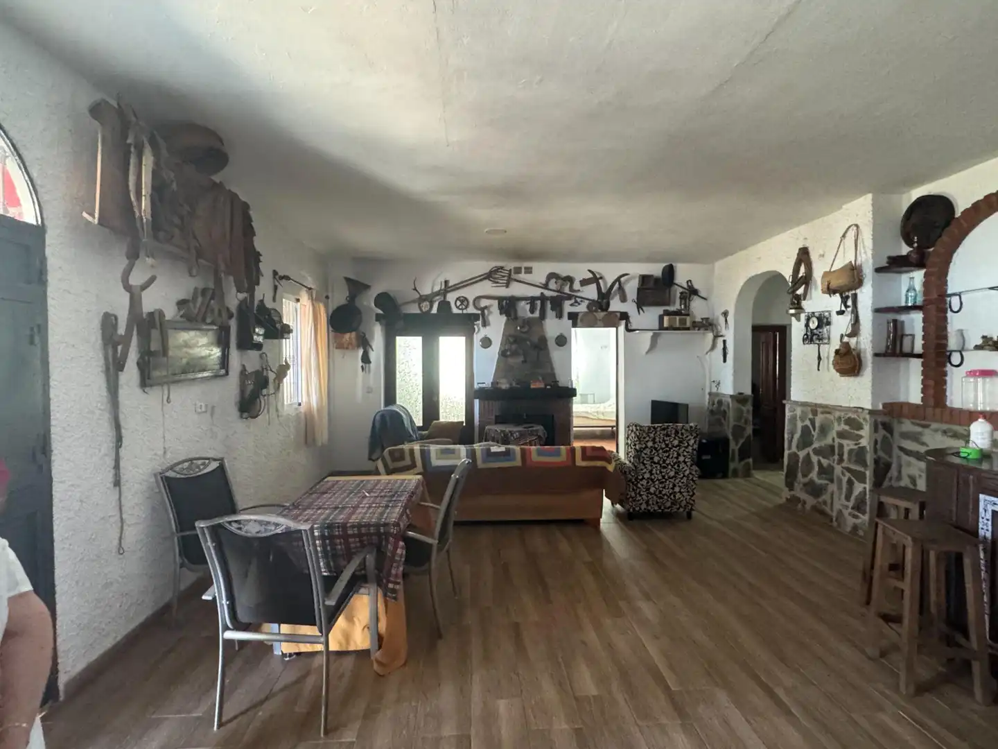 Sala de estar de Finca rústica en venta en Ardales con Jardín privado y Terraza