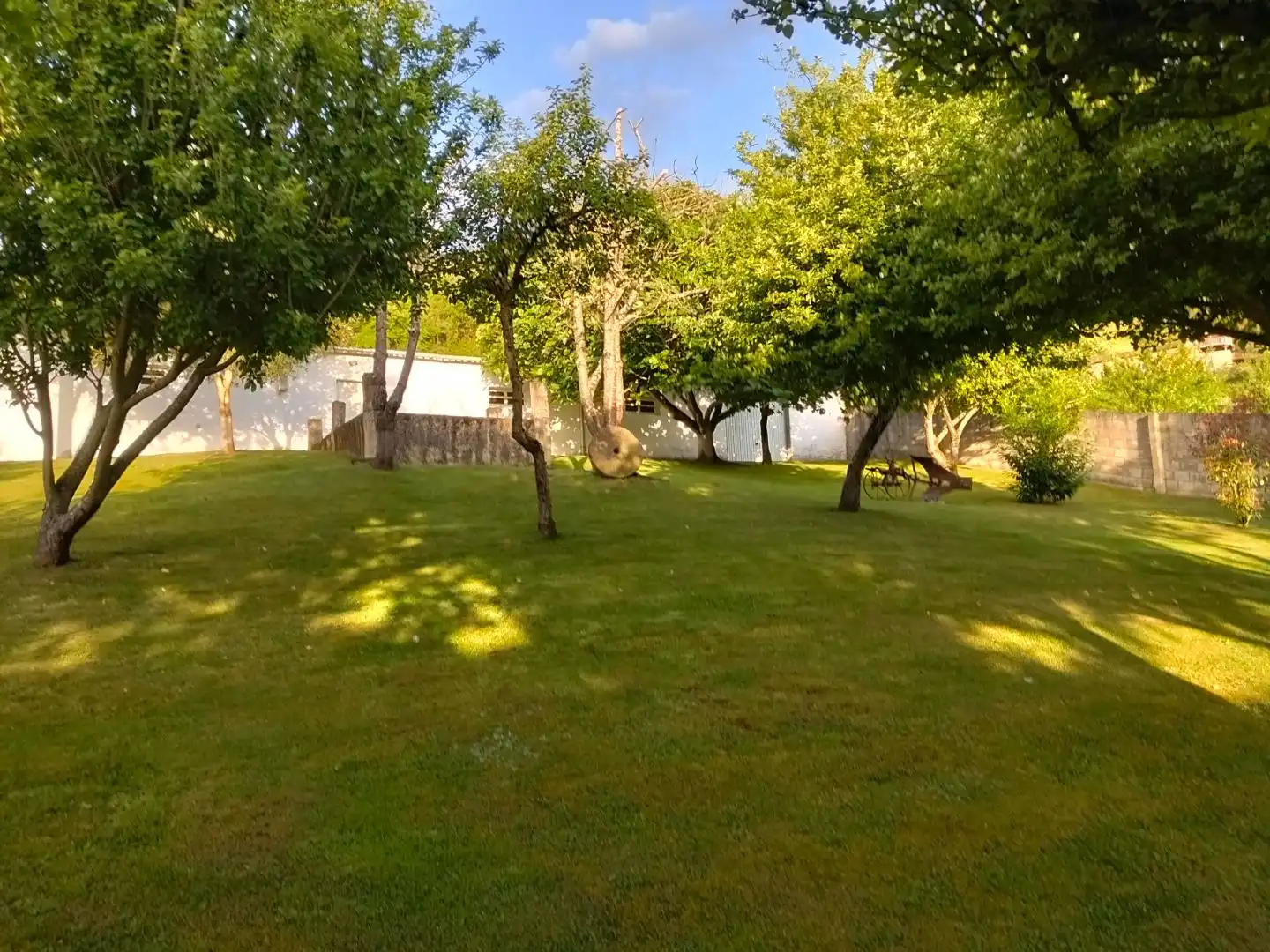 Garden of Commercial properties for sale in Salas