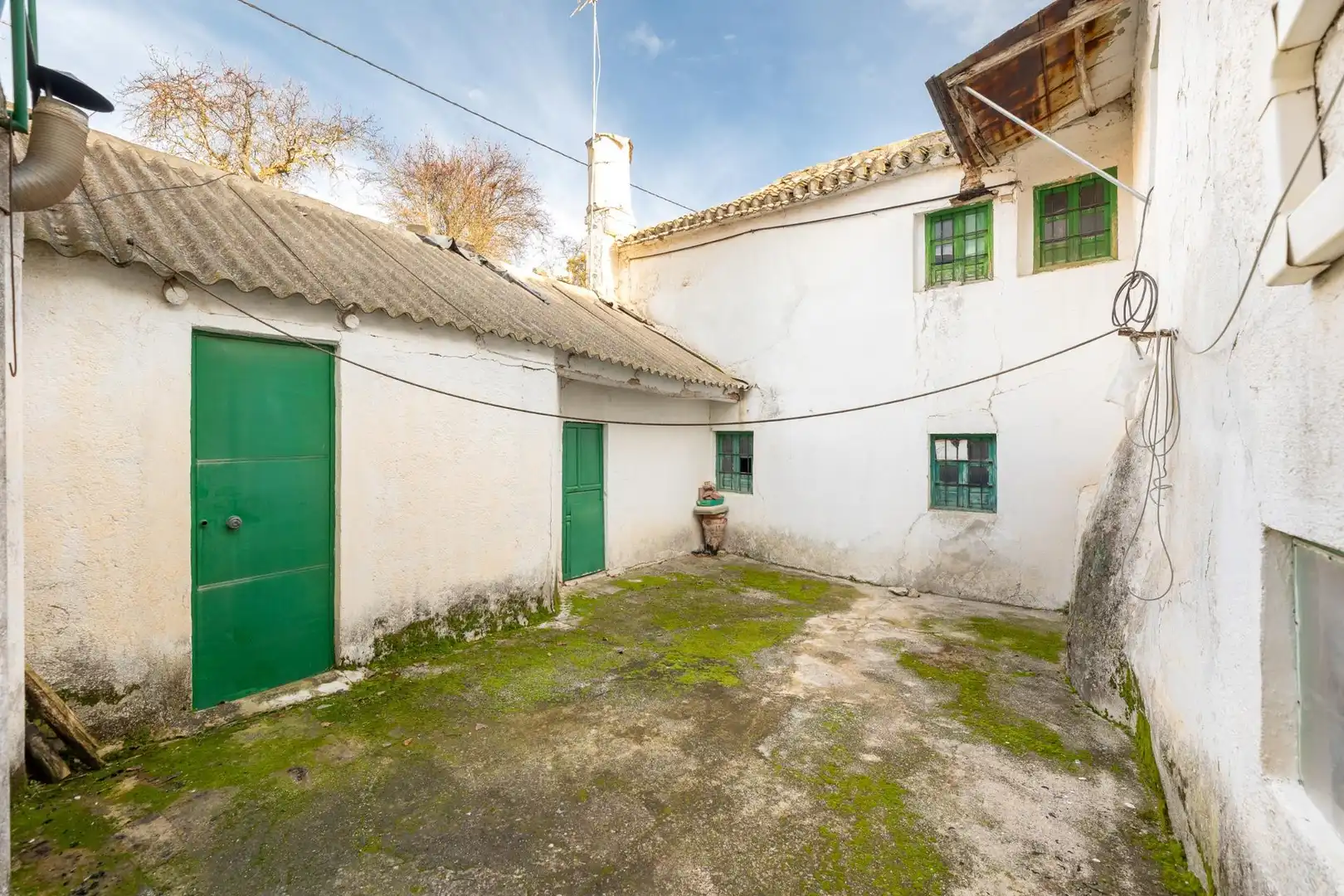 Vista exterior de Finca rústica en venta en Píñar