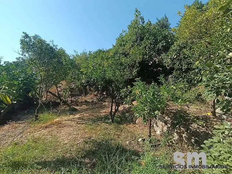 Residential land for sale in Grazalema, imagen 20