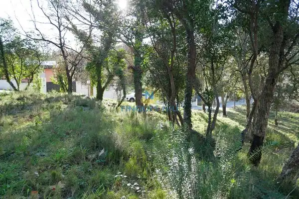 Residential land for sale in Carrer Selva, imagen 9