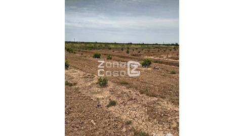 Finca Rustica  Venta Algemesí, Bild 2