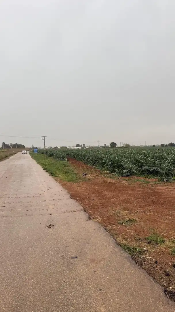 Terreno en venta en Murcia