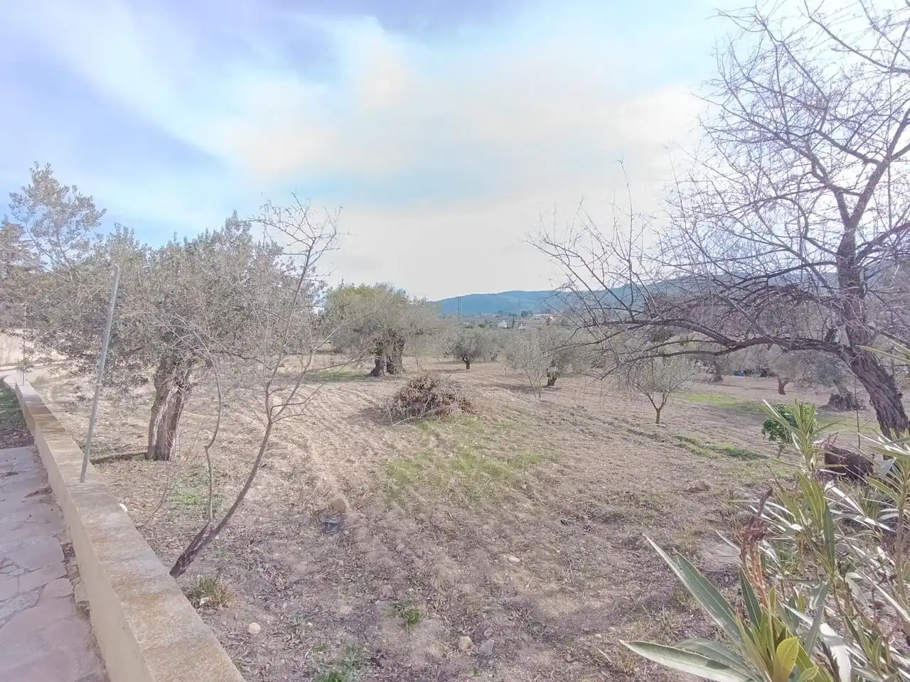 Finca rústica en venta en Ibi