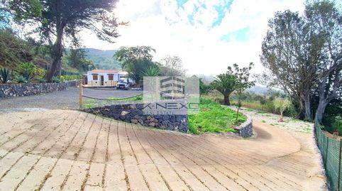 Foto 2 de Finca rústica en venta en Polígono, La Vega - El Amparo - Cueva del Viento, Icod de los Vinos