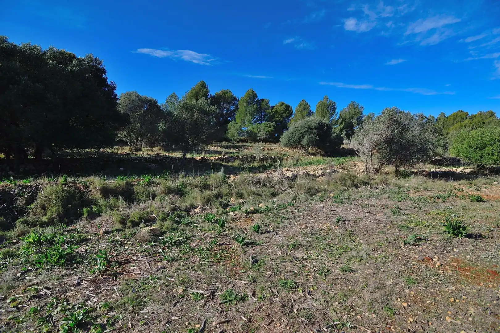 Casa rústica en venda a Benissa pueblo, imagen 4