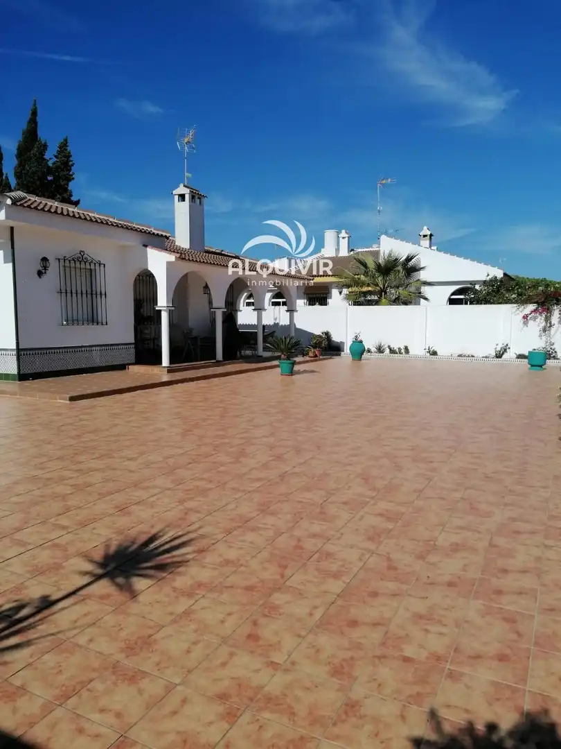 Vista exterior de Casa o xalet en venda en Almonte amb Aire condicionat, Traster i Piscina
