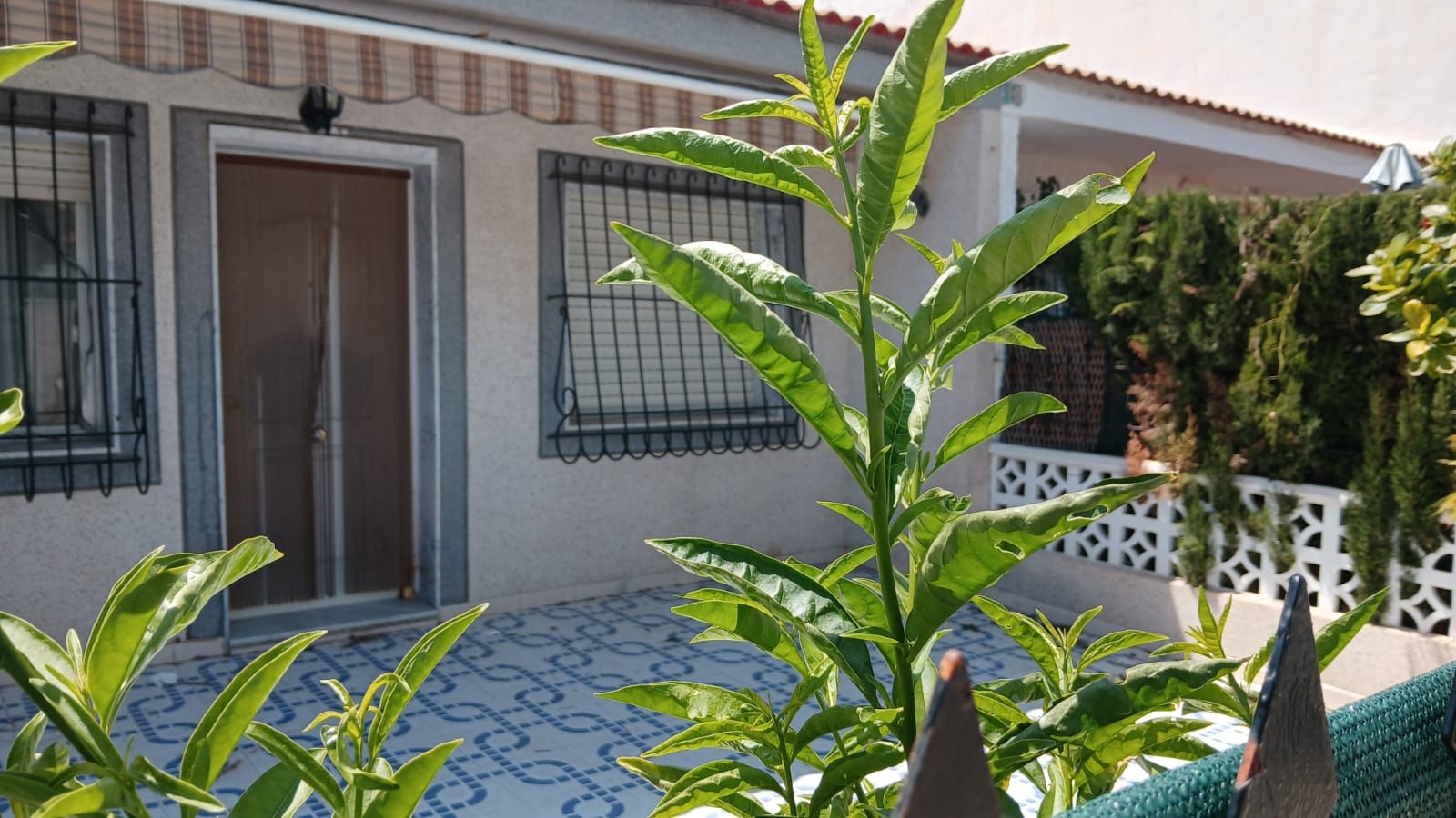 Garden of House or chalet for sale in San Pedro del Pinatar  with Private garden, Terrace and Furnished