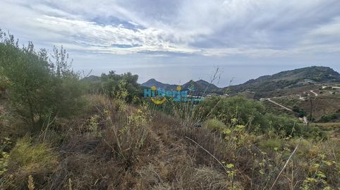 TERRENO RUSTICO 10.600 m2 con Bonitas Vistas  NERJA  RIO DE LA MIEL, CAÑUELO, immagine 3