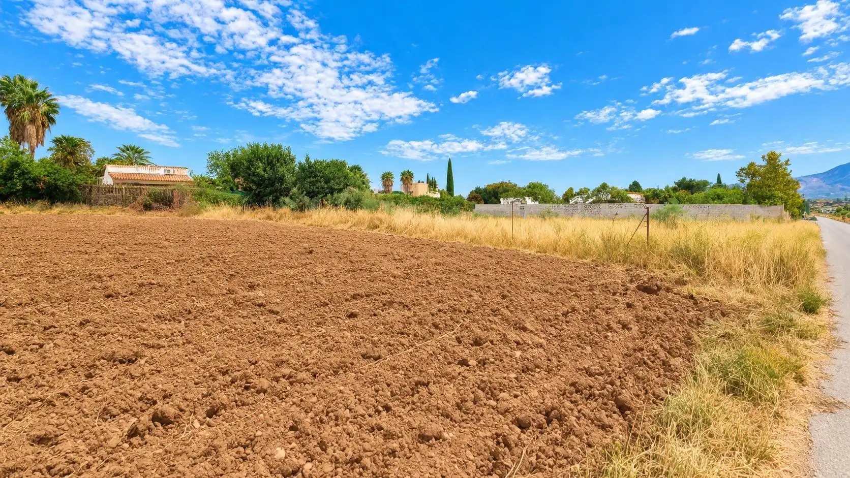 Terreno rústico en venta en Moraleda de Zafayona, imagen 9