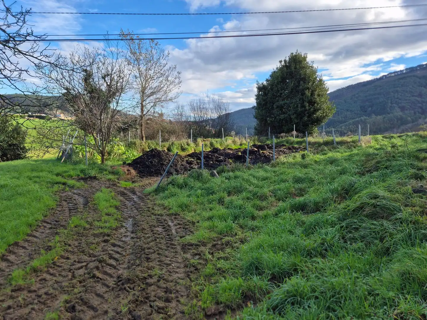 Residencial en venta en Cudillero