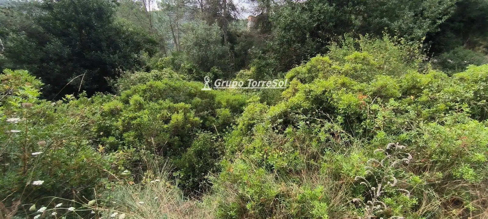 Terreny residencial en venda a Torrent, imagen 5