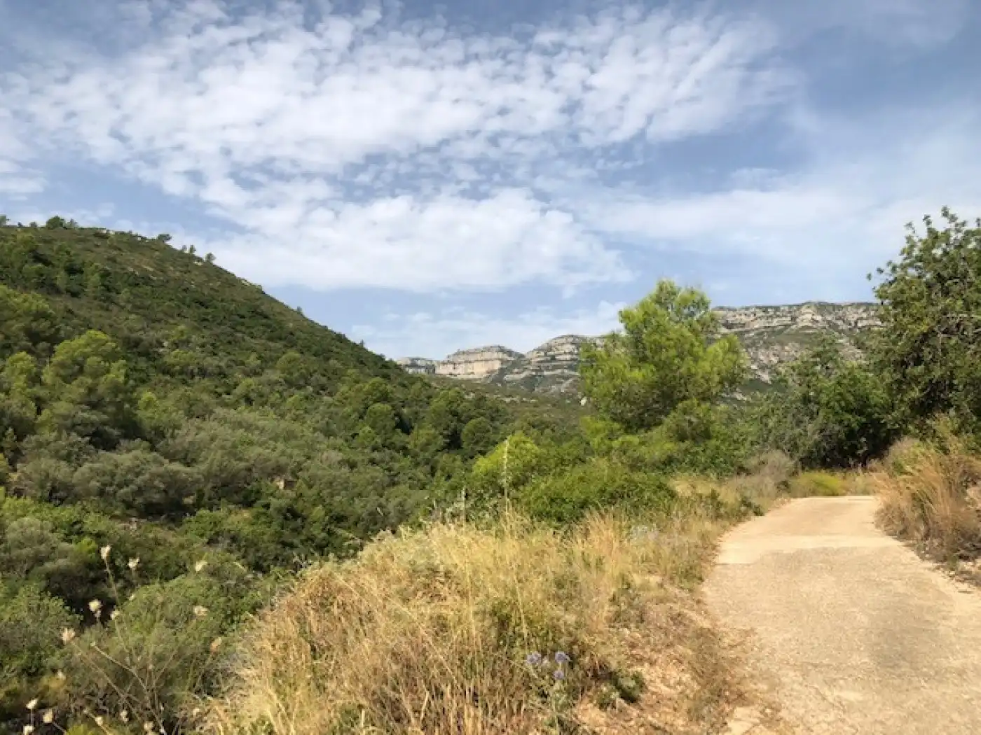 Rural land for sale in Alcanar, imagen 3