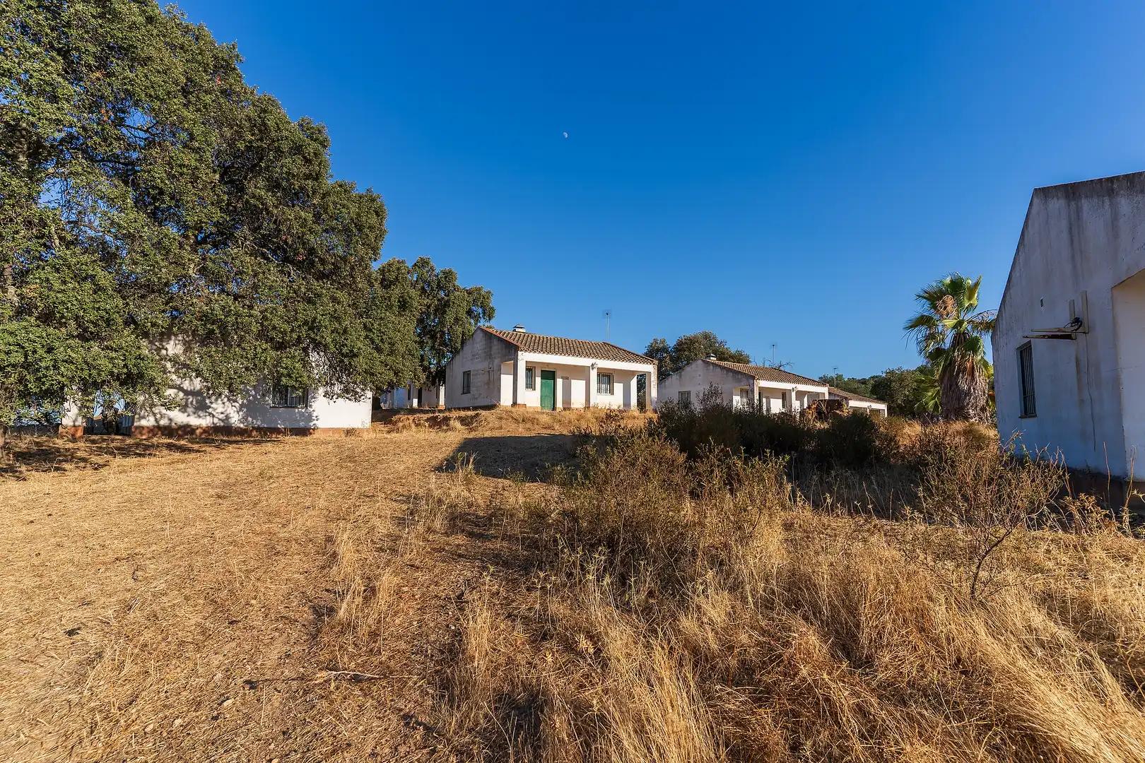 Land for sale in N/A, -1, Calañas