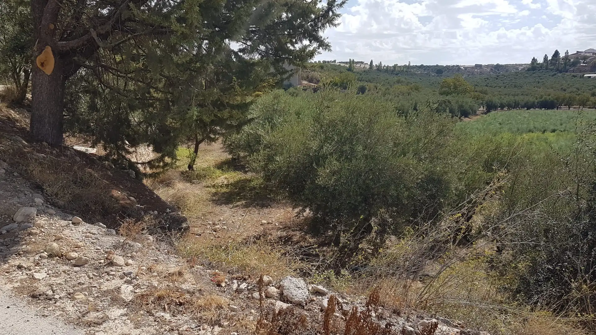 Residencial en venta en Cuevas del Campo