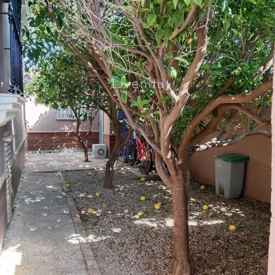 Vista exterior de Casa o chalet en venta en Chiclana de la Frontera con Aire acondicionado