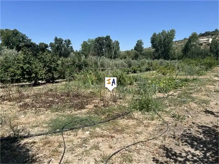 Casa rústica en venda a Castillo de Locubín, imagen 14