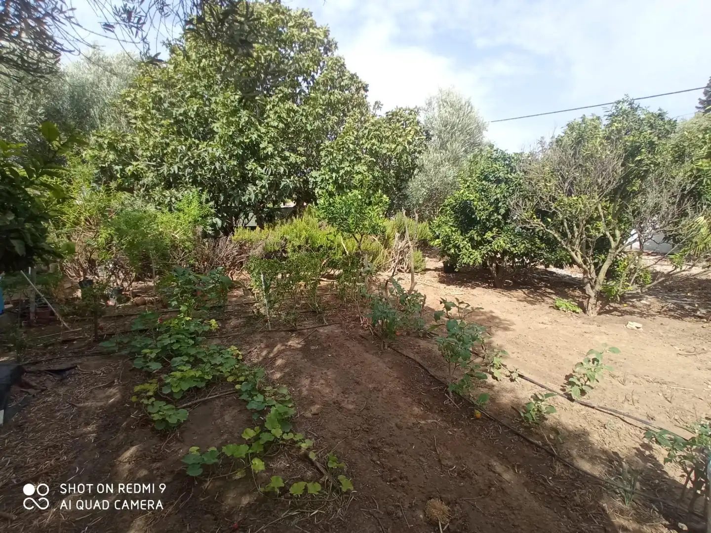 Casa o xalet en venda en Puerto Real amb Jardí privat, Piscina i Alarma