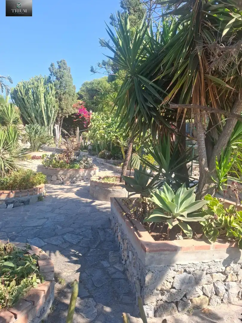Jardí de Casa o xalet en venda en Almuñécar